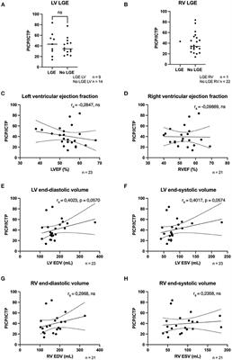 Exploring the Correlation Between Fibrosis Biomarkers and Clinical Disease Severity in PLN p.Arg14del Patients